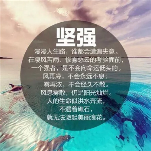 表达歉意的作文好段（表达歉意的作文700字）