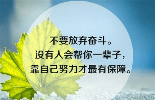 我的乐园是菜园作文800字（我的乐园和菜园有关系的作文）