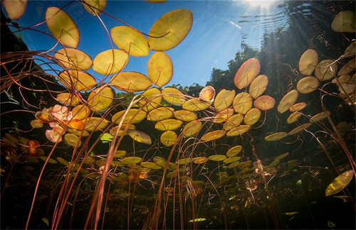 我的家乡种过土豆的作文（种植土豆的过程作文400字）