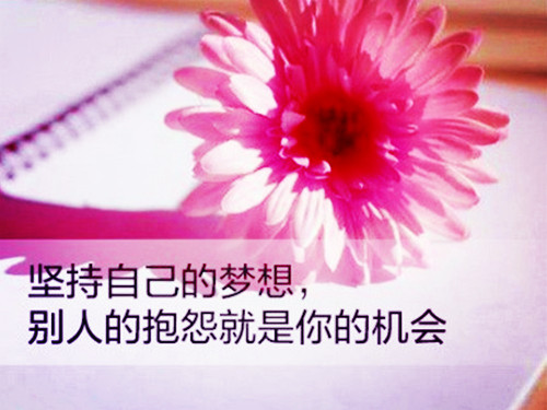 蜜蜂与螳螂的作文怎么写（螳螂的作文250个字）