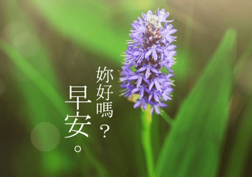 暑假作文四年级夏天的雨（快乐的暑假生活四年级作文）