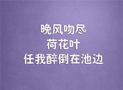 班级我为你自豪作文800字