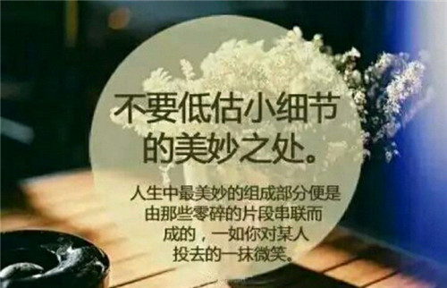 送给老师毕业礼物作文