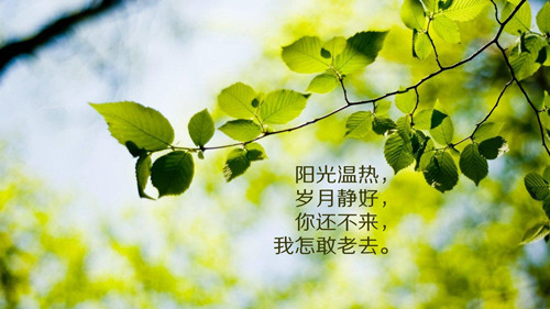 介绍琼中的作文（琼中百花岭门票多少钱）