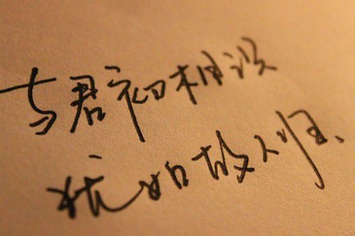 七年级作文字数一般要求多少（七年级作文要写多少字）