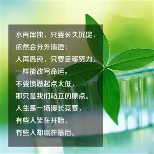 自己最喜欢的一种动物作文350字