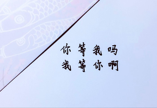 小胖子的自画像作文200字（四年级我的自画像作文200字以上）