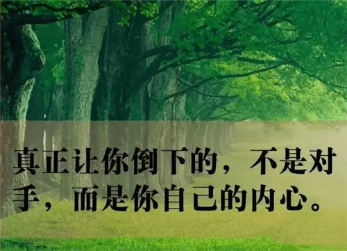 本来我可以自律作文800字（学习自律作文800字）