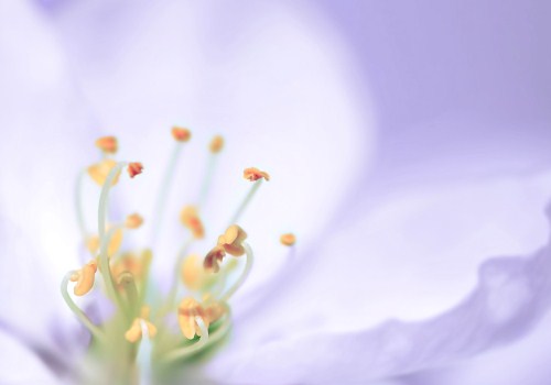 写五四青年节的作文题目（以五四青年节精神为主题的作文）