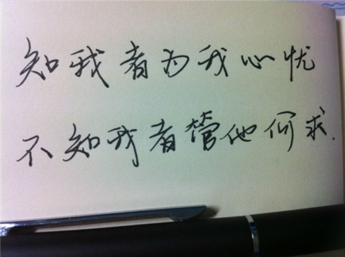 关于高中三年计划的作文100字（高中三年的长远目标和理想作文）