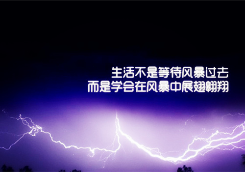 安全伴我行的作文不少于1000字（安全伴我行作文800 字）