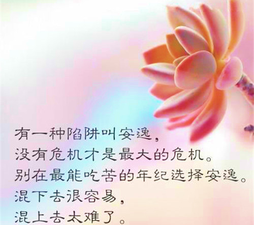 5百字中秋节的作文