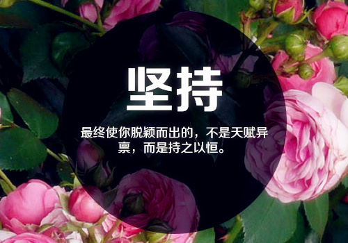 作文我最喜欢的小桥