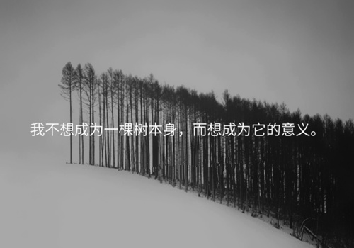 滑雪三年级作文200字左右