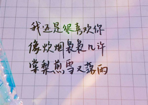 我最崇拜的人三百字作文（我最崇拜的人100字初中小作文）