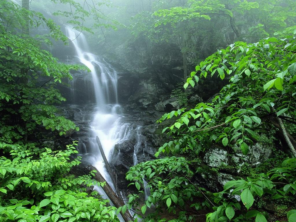 虎年初一拜年祝福语朋友圈（虎年拜年祝福语简单大气）