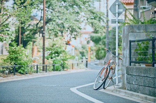 写旅顺樱花园的作文600字左右（永福樱花园500字作文）