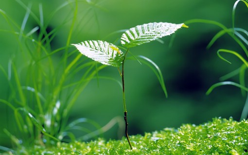 渭南博物馆小作文（参观西安博物馆作文800字初中）