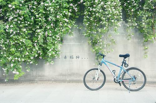 三年级写体验植树的作文300字（植树的作文三年级300字）