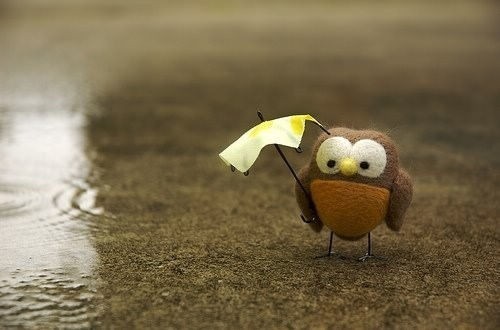 郑州大雨的小学生作文