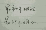 观察小动物作文30个字