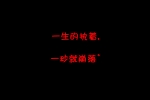 保护鸡蛋作文500字15篇