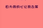 海棠花作文四年级400字左右