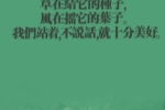 亲情作文800字记叙文 初中生