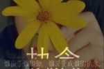 写老鹰变得胆小如鼠的作文300字