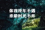 作文旅游的景点300字