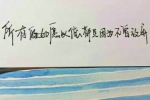 小老鼠作文40个字