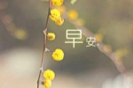 中国的筷子文化作文800字