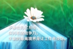 大自然的声音作文400以上