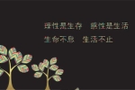 班级体育委员作文250字