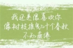 小豌豆的作文160字