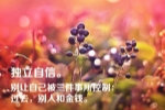 欢乐的中秋节作文500字最佳