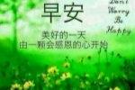 小学四年级作文我学会了什么什么