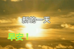 作文我最喜欢小白兔900个字