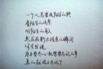 描写桂林象鼻山的作文300字