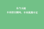 十篇记叙文800字以上满分作文