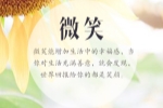 铁山寺的作文怎么写三年级300字