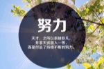 2020我懂得了珍惜700字作文