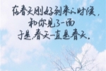 介绍姐姐作文300字左右